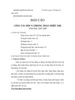 Báo cáo tổng kết Đội