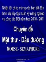Mat thu dau dương