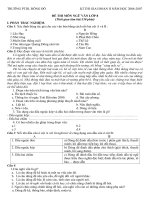 đề thi giai đoạn- ngữ văn 8