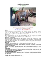 ĐỘNG  VẬT QUÍ HIẾM ( Lớp Thú vần B- C)