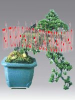 toán lớp 5: Ôn tập phân số