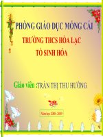 tác động của con người với môi trường