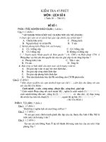 bai kiem tra 45 phut