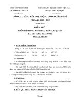 Văn kiện DHCD-2010