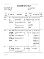 ke hoach bo mon mi thuat 8