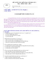 ĐỀ (16) KIỂM TRA TIẾNG VIỆT 5 CUỐI HỌC KỲ I