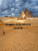 Những  báu vật độc nhất vô nhị ở Ai Cập