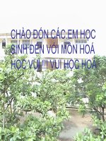 BAI 16: TINH CHAT HH KIM LOAI