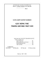 sáng kiến kinh nghiệm văn học