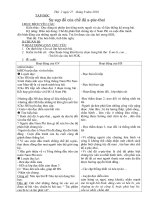 giao an tuan 6 ,tuan 7