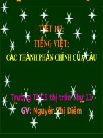 van 6 moi trang nhe
