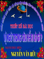 Vi ngu trong cau ke Ai la gi ?