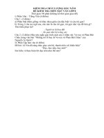 Đề kiểm tra chất lượng đầu năm môn Ngữ Văn