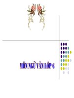 NV6 :Cụm danh từ