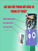 Lực đàn hồi