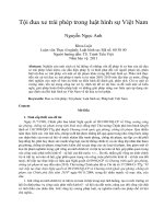 Tội đua xe trái phép trong luật hình sự Việt Nam