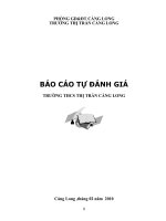 TỰ ĐÁNH GIÁ TRƯỜNG THCS