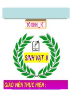 TIẾT 29. PP NGHIÊN CỨU DI TRUYỀN NGƯỜI