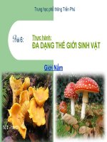 sinh hoc giới nấm (bài 6 thực hành)