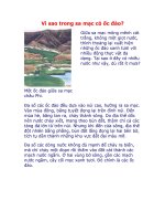 Vì sao trong sa mạc có ốc đảo