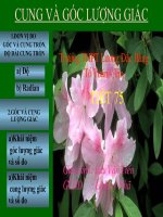 gfocs và cung lượng giác