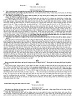 Ôn tập ngữ văn 9