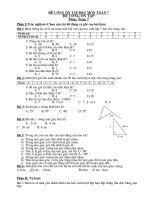 ôn tập HSG lớp 7
