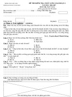 Đề thi GĐ I - Ngữ Văn 6