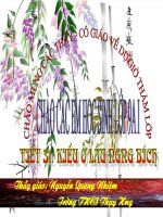 Tiết 31: Kiều ở lầu Ngưng Bích