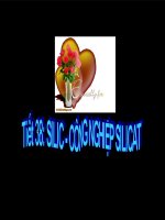 T.38-Silic Cong nghiep Sili cat