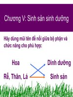 Bai 26_SS sing duong tu nhien