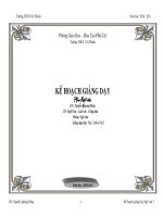 Kế hoạch giảng dạy ngữ văn 7 năm học 2010-2011