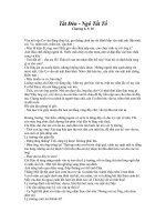 Tiểu thyuết Tắt đèn (Ngô Tất Tố)