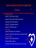 Hệ thống chương trình ôn thi tốt nghiệp THPT