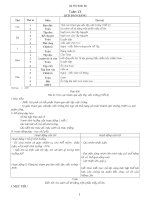 GA Lớp 3 tuần 13 theo chuẩn