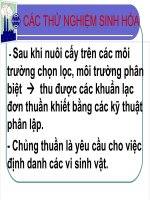 Thử nghiệm sinh hoá