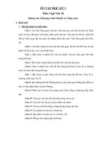 Ôn tập HK1 lớp 10 Văn CB + NC