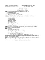 Tap de thi HSG Thieu HoaTIENGVIETTV4THLONG.doc