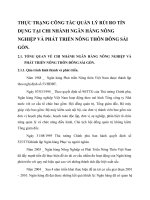 THỰC TRẠNG CÔNG TÁC QUẢN LÝ RỦI RO TÍN DỤNG TẠI CHI NHÁNH NGÂN HÀNG NÔNG NGHIỆP VÀ PHÁT TRIỂN NÔNG THÔN ĐÔNG SÀI GÒN