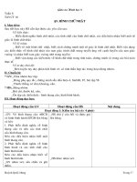 Giao an HH8_Tiet 16_huynhquochung.come.vn