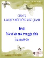 Một số vật nuôi trong gia đình