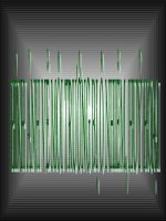 MỘT VÀI HÌNH ẢNH VỀ SỰ Ô NHIỂM MÔI TRƯỜNG