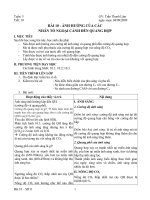 bài 10 Các nhân tố ngoại cảnh