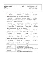 Đề kiểm tra GKI Tin học 3 (NEW)