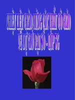 Toan 7 - Mat phang toa do