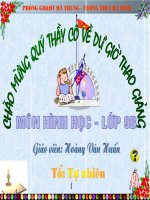 Tiết 54: Diện tích hình tròn-Hình quạt tròn