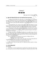 Thiết kế cửa van sau