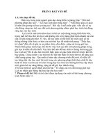 SKKN nam 2010 - mon Lich su