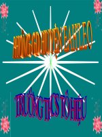 Tiet 33 Hai Cay Phong.ppt