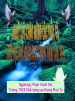 Bài. Quyền tự do, tính ngững tôn giáo